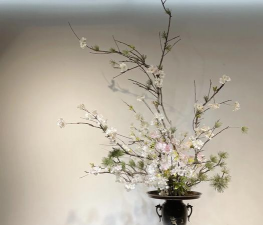 小众送妈妈的花有哪些花