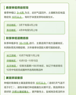 洋姜种植技术和时间