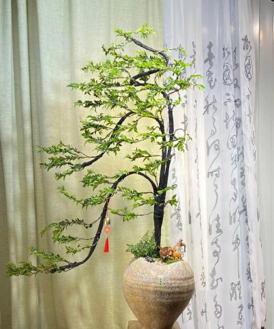 小众送妈妈的花有哪些花