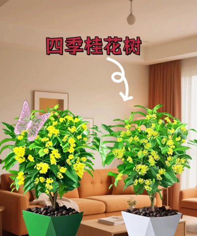 小众送妈妈的花有哪些花