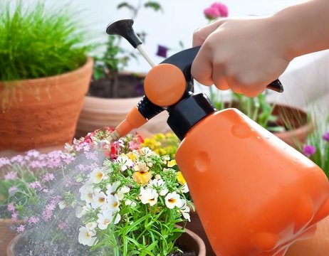 小众送妈妈的花有哪些花