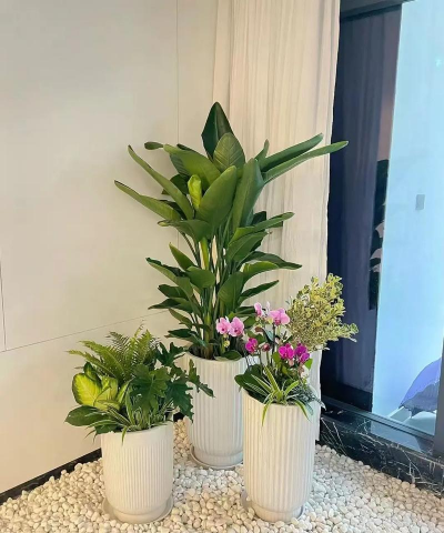 小众送妈妈的花有哪些花