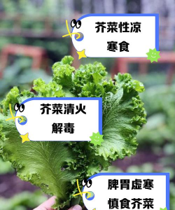 芥菜能耐低温多少度