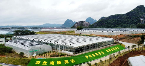 小众送妈妈的花有哪些花