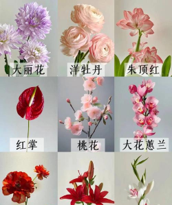小众送妈妈的花有哪些花