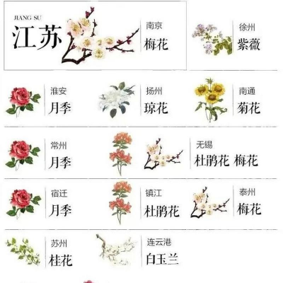 小众送妈妈的花有哪些花
