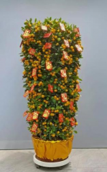 小众送妈妈的花有哪些花