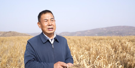 小众送妈妈的花有哪些花