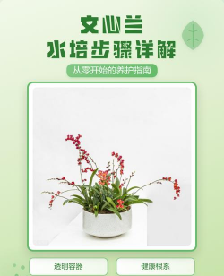 小众送妈妈的花有哪些花