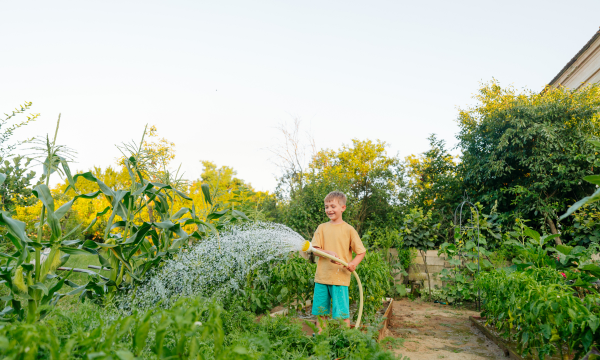 小众送妈妈的花有哪些花
