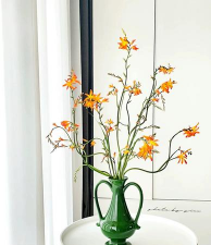 小众送妈妈的花有哪些花