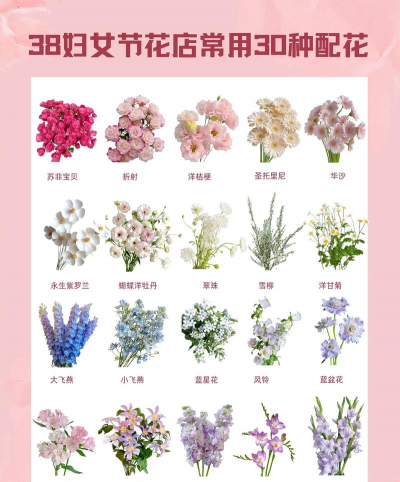 有哪些花是配花