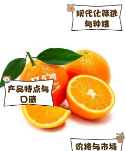 甜橙生长发育适宜温度是多少