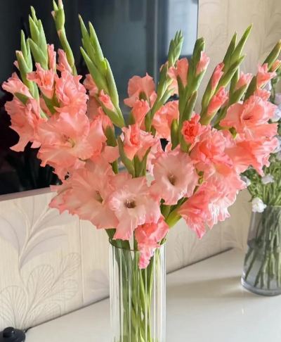 小众送妈妈的花有哪些花