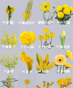 小众送妈妈的花有哪些花