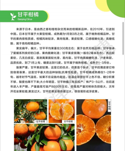 甘平柑橘品种介绍
