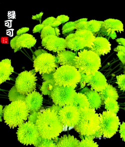 小众送妈妈的花有哪些花