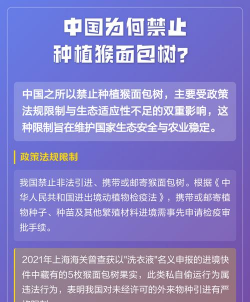 为什么禁止种猴面包树