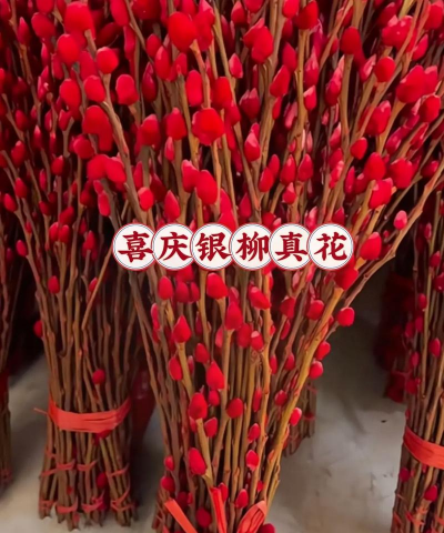 小众送妈妈的花有哪些花