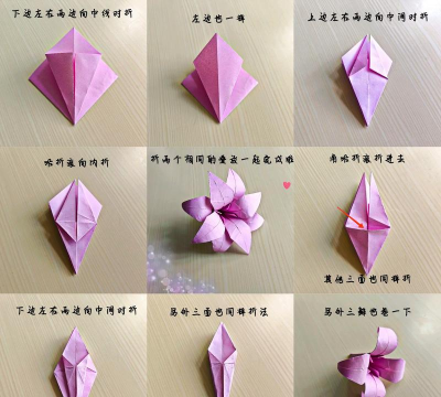 小众送妈妈的花有哪些花