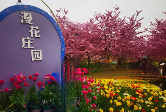 漫花庄园有哪些花