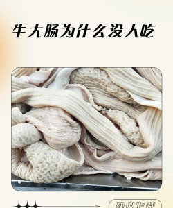 牛的肠子为什么不能吃