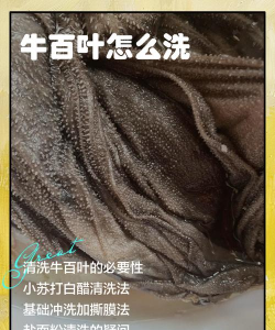 牛百叶怎么处理