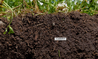 仙土是什么土壤