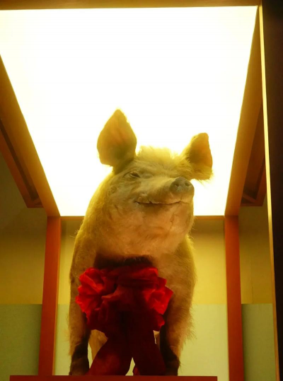 小众送妈妈的花有哪些花