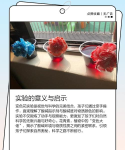 小众送妈妈的花有哪些花