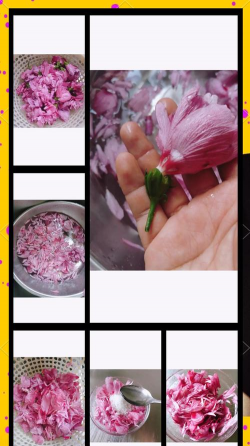 小众送妈妈的花有哪些花