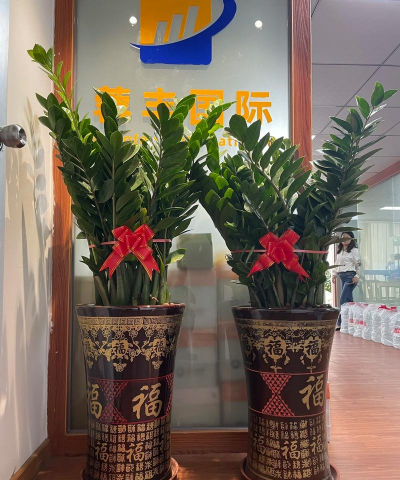 小众送妈妈的花有哪些花