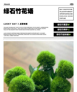 小众送妈妈的花有哪些花