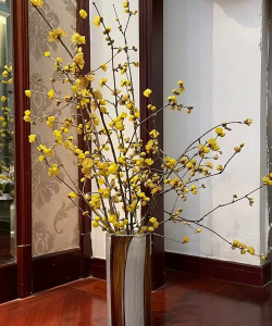 小众送妈妈的花有哪些花