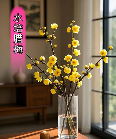 小众送妈妈的花有哪些花