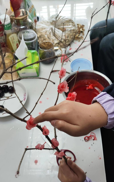 小众送妈妈的花有哪些花