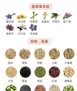 小众送妈妈的花有哪些花