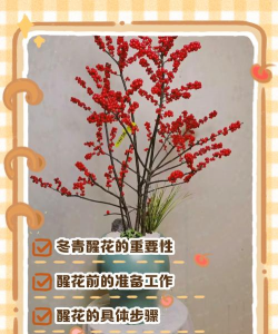 小众送妈妈的花有哪些花