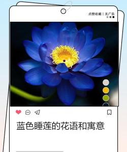 蓝莲花的寓意和象征