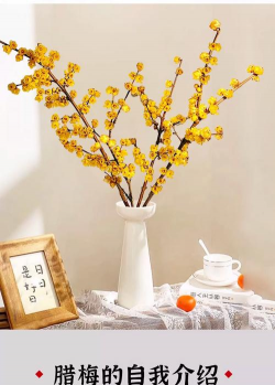 小众送妈妈的花有哪些花