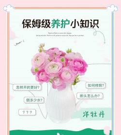 小众送妈妈的花有哪些花