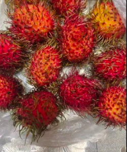 小众送妈妈的花有哪些花