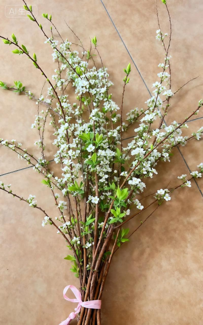 小众送妈妈的花有哪些花