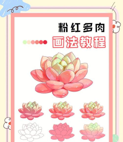 小众送妈妈的花有哪些花