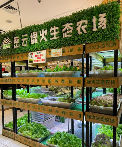 小众送妈妈的花有哪些花