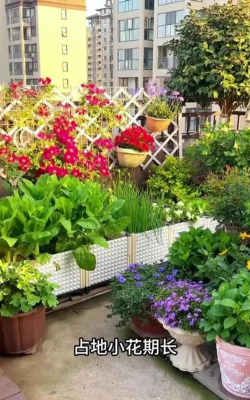 小众送妈妈的花有哪些花