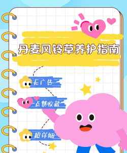 小众送妈妈的花有哪些花