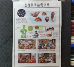 小众送妈妈的花有哪些花