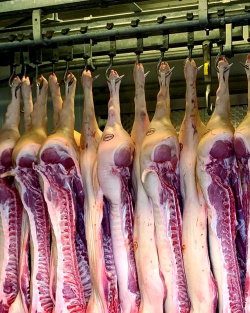 小众送妈妈的花有哪些花