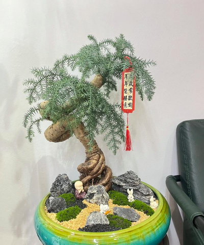 小众送妈妈的花有哪些花